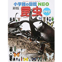 小学館 小学館の図鑑 NEO DVD付 新版 昆虫 (小学館の図鑑 NEO) 小池 啓一・小野 展嗣・町田 龍一郎・田辺 力 著, 監修／小学館【生物図鑑】【贈り物】【プレゼント】【ラッピング無料】【店頭受取対応商品】