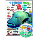 DVD付 新版 魚 (小学館の図鑑 NEO) 井田 齋 松浦 啓一 監修／小学館【生物図鑑】【店頭受取対応商品】