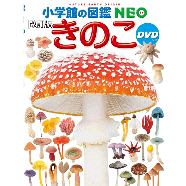 小学館の図鑑NEO きのこ DVDつき 保坂 健太郎 監修, 大作 晃一 写真／小学館【生物図鑑／児童書／知育絵本／もじ・ことば／読み聞かせ／ギフト／贈り物／プレゼント／ラッピング無料／店頭受取対応商品】