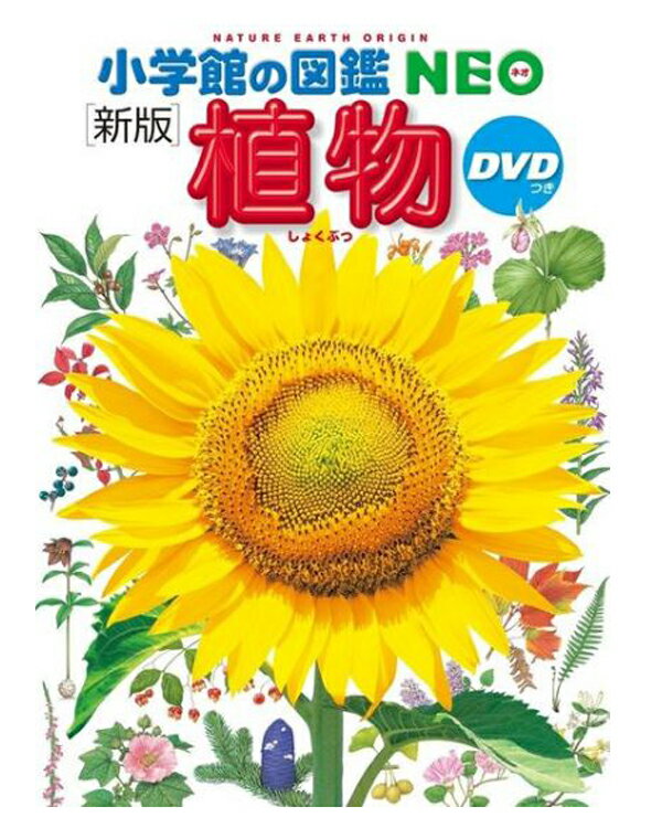 DVD付　新版　植物 (小学館の図鑑NEO) 門田 裕一 監修／小学館【図鑑】【贈り物】【店頭受取対応商品】