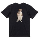 【楽天スーパーSALE】猫ミーム Tシャツ EDMを踊る猫 おもしろ tシャツ ネタ 猫 ネコ ねこ ちぴちぴちゃぱちゃぱ SNS プレゼント かわいい ウケ狙...