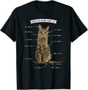 【楽天スーパーSALE】キジトラねこ うずら 猫 キジトラ猫 鶉 かわいい CAT Tシャツ 猫好き おもしろ プレゼント 猫 ねこ ネコ 面白い ギフト にゃ...