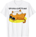【楽天スーパーSALE】モテすぎないようデブでいます 面白いtシャツ 文字入り メンズ おもしろ 面白い 服 オリジナル おもしろグッズ 文字 Tシャツ