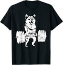 【楽天スーパーSALE】バーベルを上げるシバイヌ 柴犬 イヌ 面白いtシャツ 犬 筋トレ 文字入り メンズ おもしろ 面白い 服 おもしろグッズ 文字 Tシャツ