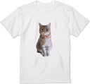 【楽天スーパーSALE】猫 ユニーク Tシャツ メンズ 半袖 ホワイト デザイン クルーネック 白 おもしろ メンズ 半袖 プレゼント パロディ イラスト かわ...