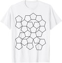 訳あり 五角形 ライオン タイル 幾何学 数学 先生 オタク Tシャツ