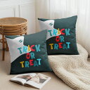 【楽天スーパーSALE】クッションカバー 2枚セット 30×30cm 40×40cm 45×45cm 50×50cm 55×55cm 60×60cm おばけイラ...