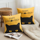 【楽天スーパーSALE】クッションカバー 2枚セット 30×30cm 40×40cm 45×45cm 50×50cm 55×55cm 60×60cm 黒猫のシル...