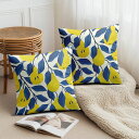 【楽天スーパーSALE】クッションカバー 30×30cm 40×40cm 45×45cm 50×50cm 55×55cm 60×60cm 2枚セット 梨のパンタ...