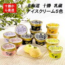 最高2000円off ポイント最大47倍 十勝アイスクリーム12個セット「北海道ブランド 江戸屋】 乳蔵 プレミアムバニラ ストローベリー ハスカップ 赤肉メロ...