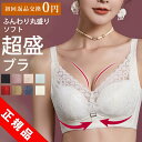 楽天TGASS SHOP★驚きの極上ホルード感★限定価格2780円★ブラジャー ノンワイヤー 綿 美盛り 小胸 ノンワイヤー 盛ブラ 大きいサイズ ブラ 脇肉 かわいい 育乳ブラ 昼 美胸 離れ胸 補整 下着 綿 盛りブラ 脇高 育乳 脇肉 レディース 補正下着 バストアップ 夜用ブラ 痛くない 盛れる