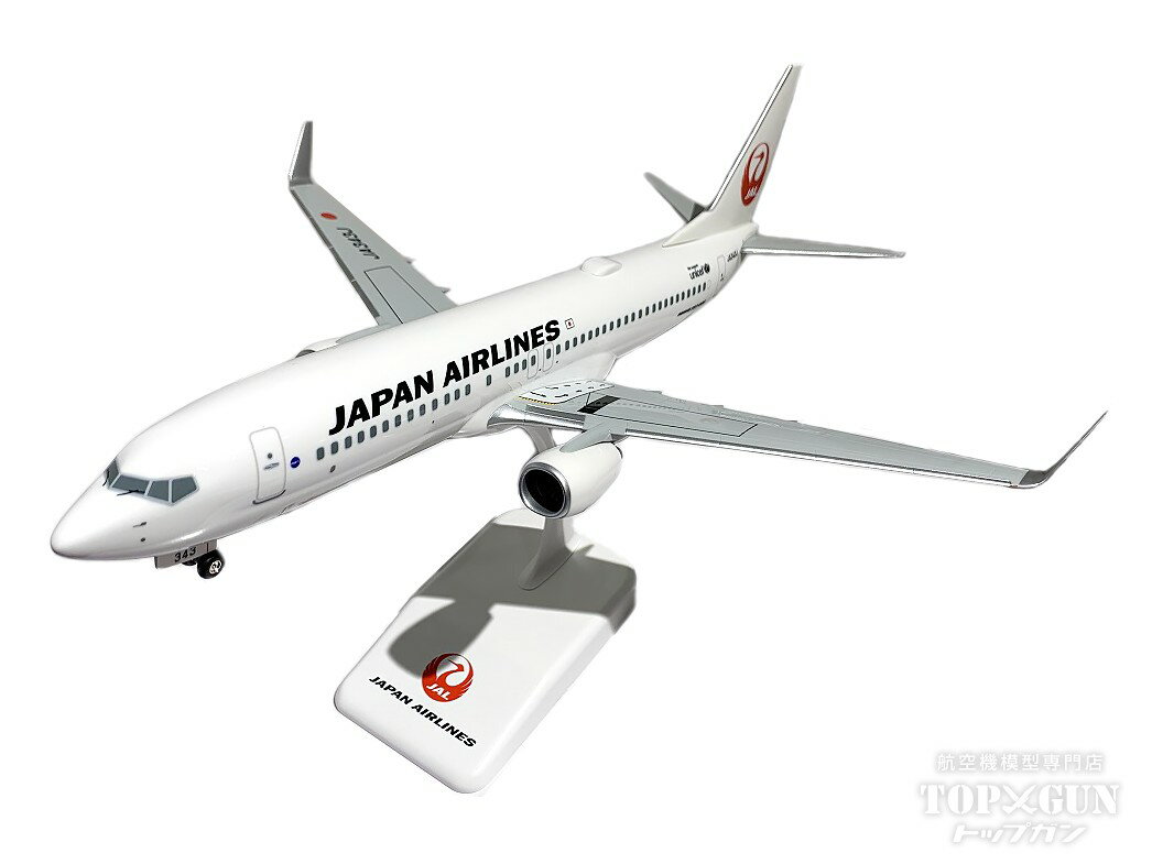 楽天市場】737 800 1/100の通販 楽天市場】737 800 1/100の通販