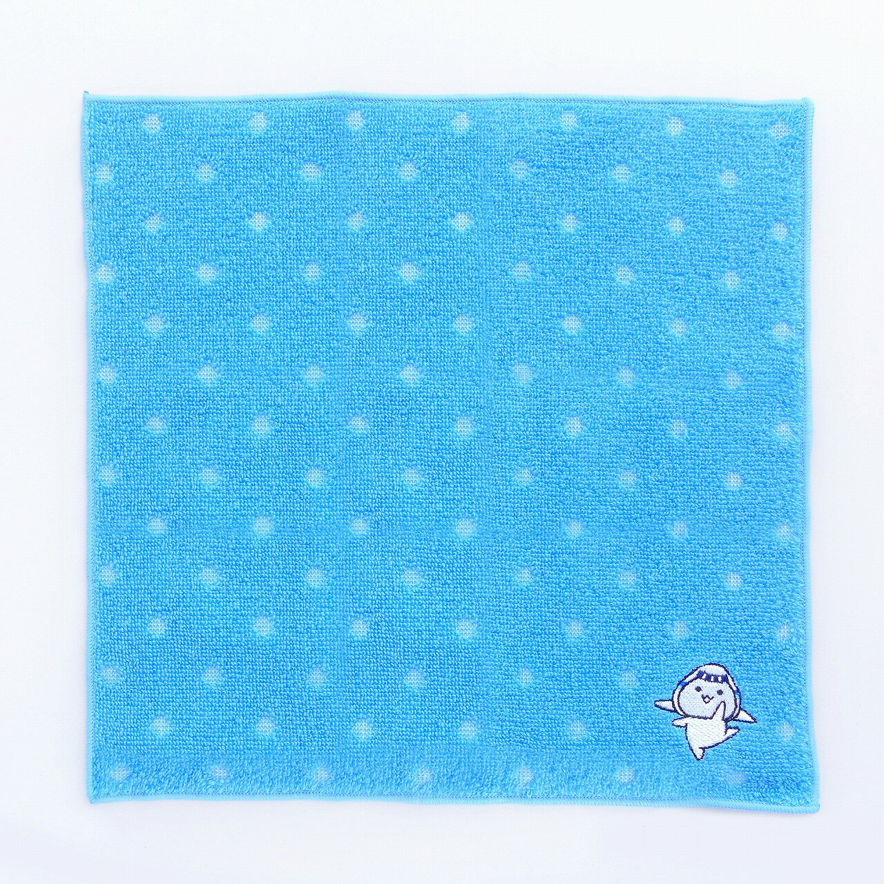 そらっち 刺繍入り ハンドタオル 水色FUJISEY飛行機/グッズ [11105325]