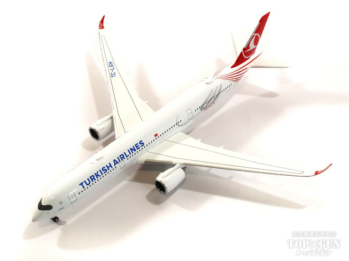 Airbus Executive A350-1000 1/100 scale model エアバス 飛行機 スケール モデル