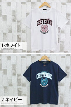 送料無料 Tシャツ メンズ 半袖 カレッジ ロゴ プリント クルーネック ティーシャツ 大きいサイズ トップス アメカジ ロゴT 綿 ブラック ホワイト ネイビー M L LL 3l 全17種 通販 新作 ポイント消化 おしゃれ 春 夏 服 トップイズム ゆうパケ