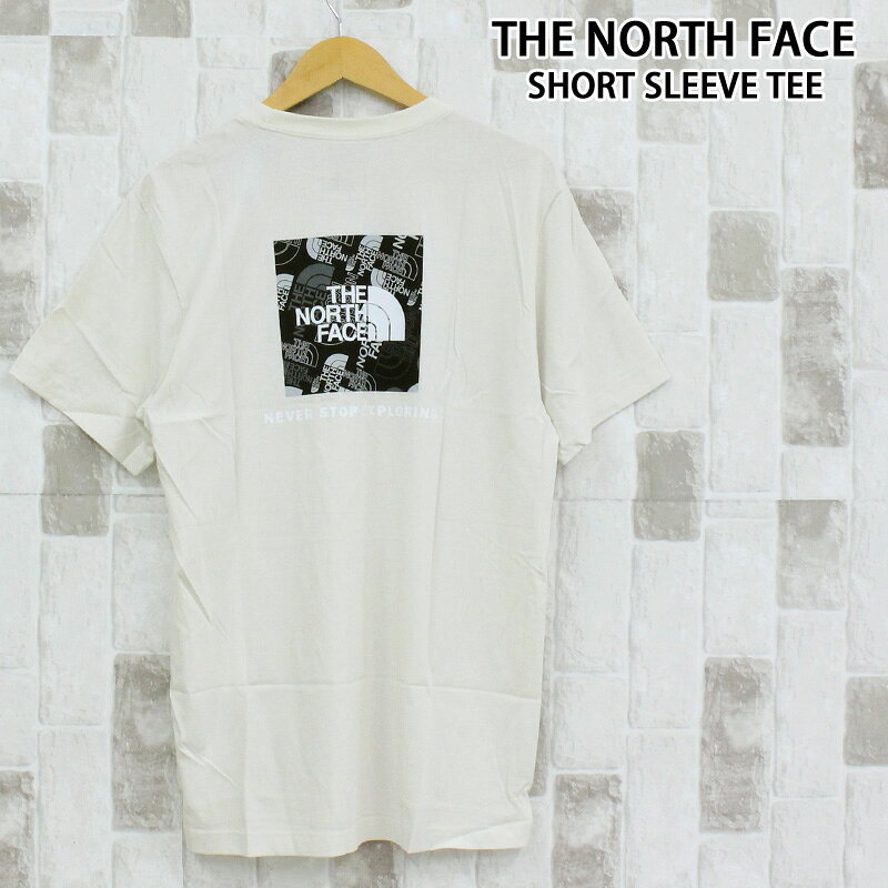 送料無料 THE NORTH FACE ザ ノースフェイス エボリューションボックス バックプリント 半袖 Tシャツ M EVOLUTION BO…
