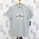 トミー ヒルフィガー Tシャツ メンズ 送料無料 TOMMY HILFIGER トミー ヒルフィガー フロントロゴ クルーネック 半袖Tシャツ トップイズム ゆうパケ