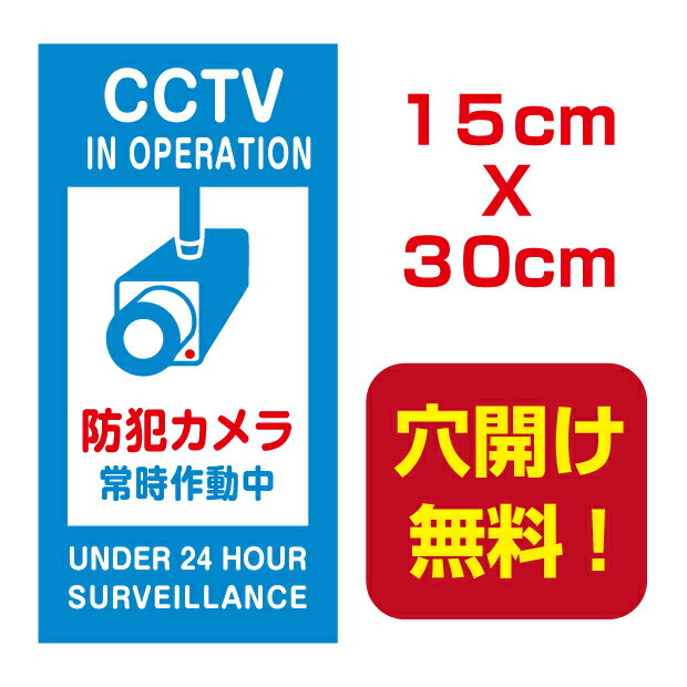 頂点看板【防犯カメラ作動中】15cm*30cm　屋外用　屋外対応　表札 案内板　オリジナル看板 平看板 パネル サイン 耐水 高耐久性 アルミ複合板　プレート看板 看板 標識　 camera-11