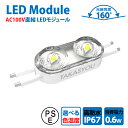 楽天頂点看板あす楽 新商品 LEDモジュール レンズ一体式 2灯タイプ IP67 防水 電球色 昼光色 6500k tks-m2-100