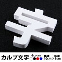 【頂点看板】カルプ文字 浮き文字 立体文字「英数字」 縦10cm×厚さ：3cm 屋外仕様/店舗/飲食店/会社名/看板/激安/格安/丈夫/耐久性抜群 目立つカラー使用/全国配送　Karupu-a100