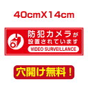 頂点看板　屋外用40cm*14cm　屋外対応　表札 案内板　オリジナル看板 平看板 パネル サイン 耐水 高耐久性 アルミ複合板　プレート看板 看板 標識　 camera-42