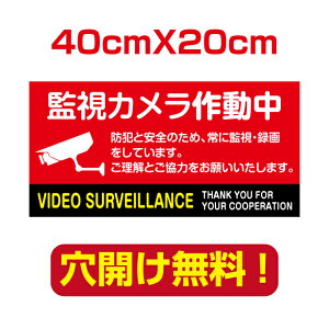 頂点看板 屋外用【防犯カメラ作動中】40cm 20cm 屋外対応 表札 案内板 オリジナル看板 平看板 パネル サイン 耐水 高耐久性 アルミ複合板 プレート看板 看板 標識 camera-45