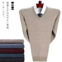 【送料無料】男の子 制服 学生服 中学生 暖かウール セーター 男子 通学用 ネイビー リブニット Vネック 高校生 学生服 スクールセーター