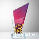 ガラス製トロフィー オリジナルトロフィー アクリルトロフィー チーム記念品 個人賞 団体戦 メダル 表彰楯 コンペトロフィー 優秀賞