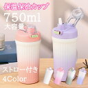 【送料無料】オフィス 大容量 おしゃれ 750ml 水筒 ストロー付き 持ち運び 蓋付き 保冷 保温 プレゼント 母の日 花見 ストロー付き