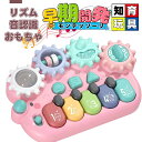 【送料無料】知育玩具 子供おもちゃ 13曲 5種類動物音 音と光 楽器 赤ちゃん 音階認識 おもちゃ モンテッソーリ教育 キッズ ハリネズミ