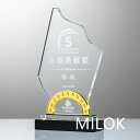 送料無料 刻印無料トロフィー ホワイトガラス 名入れ オリジナル 記念品 表彰状 退職記念 周年記念 創立記念 ゴルフコンペ ホールインワン スポーツ大会 イベ...