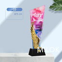 トロフィー 記念品 名入れ 彫刻 表彰 優勝 感謝 記念 賞品 デザイン カスタマイズ 透明感 高級感 オーダーメイド クリスタル ギフト イベント 表彰式 記...