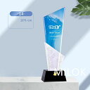 トロフィー 記念品 名入れ 彫刻 表彰 優勝 感謝 記念 賞品 デザイン カスタマイズ 透明感 高級感 オーダーメイド クリスタル ギフト イベント 表彰式 記念日