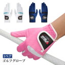 【送料無料】ゴルフグローブ レディース両手用 両手 レディースグローブ 1ペア 2個セット レディース 女性