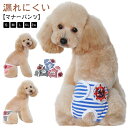 【送料無料】マナーウェア 生理パンツ 犬用 おむつカバー メス 女の子 オスずれない サニタリーパンツ お出かけ 生理パンツ マナーベルト