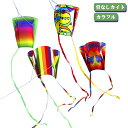 【送料無料】レジャー プレゼント 玩具 スポーツ 公園 アウトドア キッズ 骨なしカイト 凧揚げ 子供 外遊び 長尾165cm タコ揚げ 凧
