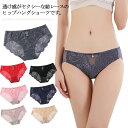 【送料無料】レース 通気性 薄手 セクシー 透け感 カラバリ豊富 パンティ シースルー パンツ 下着 ヒップハング ショーツ レディース(4)