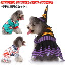 【送料無料】コスチューム かわいい お祝い 犬用 halloween ペット用品 犬の服 小型犬 魔女 ワンちゃん ペット服 犬服 ドッグウェア