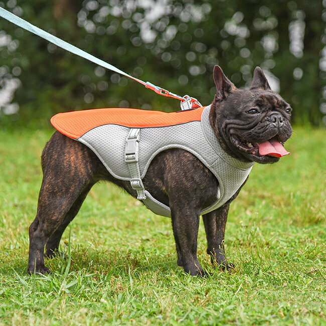 ペット服 夏 クールベスト 犬用 猫 XL～3XL 熱中症対策 ひんやりベスト 冷感犬服 大型犬 中型犬 ひんやり 接触冷感 ペット服 ひんやりベスト 夏 対策 グッズ ペット服 着せやすい 犬ペット 犬 猫 夏服 暑さ対策 快適 着脱簡単 通気 汗吸収