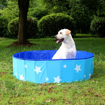 ペットプール 空気入れ不要 子供ペット 犬用 バスタブ ビニールパープ 120cm 折り畳み ビニールパープ ペット用バスグッズ 子供用 プール 持ち運び便利 水遊び 夏 猛暑対策 犬猫お風呂用 屋内屋外用収納便利 おもちゃ