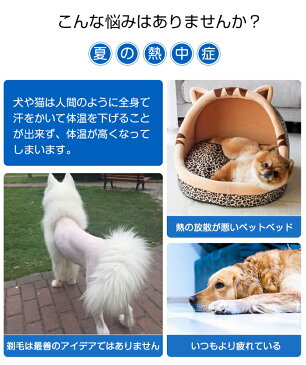 冷感 ひんやり クールマット 70×55cm ペット 洗える 洗濯 接触冷感 冷感マット 椅子 イス 車内 ソファー ペットマット クールシート 熱中症対策 暑さ対策 ゲージ内 室内 ペット用品 犬用 猫用 いぬ ねこ うさぎ 子犬 小型犬 大型犬