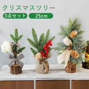 クリスマスツリー 卓上 25cm 3点セット ミニツリー 松ぼっくり 雰囲気満々 クリスマスツリー クリスマスデコレーション インテリア 小型 クリスマス 飾り...