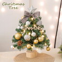 【レビュー特典あり】即納 クリスマスツリー 卓上 45cm LEDイルミネーション 卓上 ミニツリー DIY 組み立て簡単 キラキラ 雰囲気満々 クリスマスデコレーション インテリア 電池式 インスタ映え クリスマス パーティー おしゃれ 北欧 部屋 飾り クリスマスプレゼントの商品画像