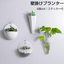 壁掛け プランター 4個セット 多肉植物 観葉植物 サボテン 寄せ植え ミニ プランター おしゃれ 可愛い クリア 透明 ホワイト デザイン インテリア雑貨 生活雑貨 小物 日用品 送料無料