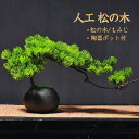 【P10倍期間限定】人工樹木 盆栽 松 人工 松の木 もみじ 人工紅葉 カエデ 現代風 フラワーポット 人工観葉植物 フェイク グリーン 卓上 フェイクグリーン...