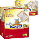 [ オンパックス カイロ ]【まとめ買い】 貼らないオンパックス 貼らないカイロ レギュラー 40個入 【日本製/持続時間約20時間】 貼らない R