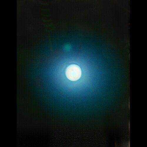 SALE WZ-946 JB ��� LED�����å��� ���ꥹ����֥롼 12/24V���� ̵���� 4604949 �ݥ������Х��