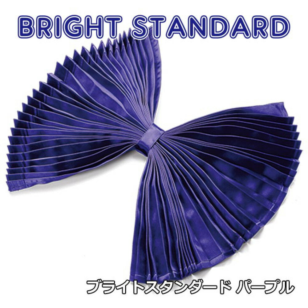 在庫処分 雅 ブライトスタンダード ルームカーテン 標準ルーフ用 プリーツ仕様 難燃 車検対応 1200×1000mm 2枚入 パープル