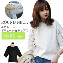 花柄刺繍レース切り替えトップス Tシャツ カットソー 袖 花柄 刺繍 レース 切り替え トップス カットソー 花柄カットソー 刺繍トップス レース レディース ...