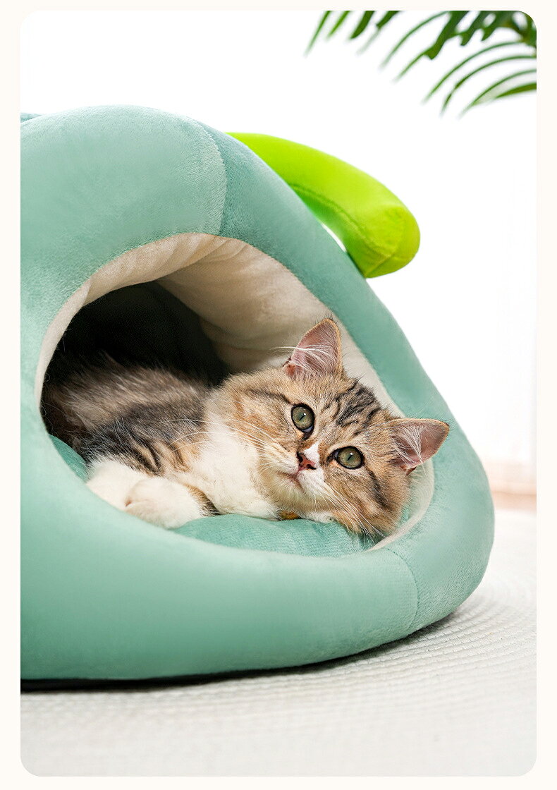 毛虫型 ペットベッド ペットベッド 犬 猫 いぬ ねこ ペット ベッド ハウス ドーム 猫用ベッド クッション付き ネコベッド パピー シニア 多頭飼い 子猫 春 夏 秋 冬 通年 寝床 かわいい ふわふわ キャット ペットファン topstyleone-10008911 トップスタイル サンプル画像3